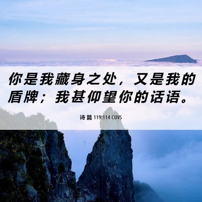 Picture 06 - 诗 篇 119:114 CUVS - 你 是 我 藏 身 之 处 ， 又 是 我 的 - Bible Verse Picture