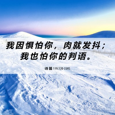 Picture 06 - 诗 篇 119:120 CUVS - 我 因 惧 怕 你 ， 肉 就 发 抖 ； 我 - Bible Verse Picture