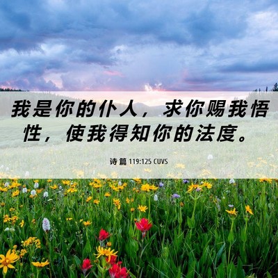 Picture 06 - 诗 篇 119:125 CUVS - 我 是 你 的 仆 人 ， 求 你 赐 我 悟 - Bible Verse Picture