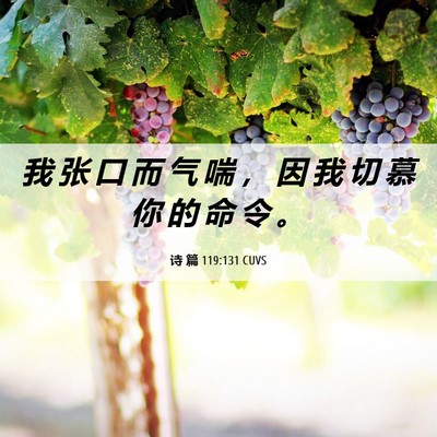Picture 06 - 诗 篇 119:131 CUVS - 我 张 口 而 气 喘 ， 因 我 切 慕 你 - Bible Verse Picture