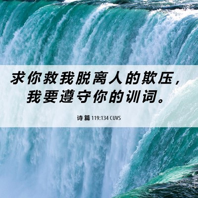 Picture 06 - 诗 篇 119:134 CUVS - 求 你 救 我 脱 离 人 的 欺 压 ， 我 - Bible Verse Picture