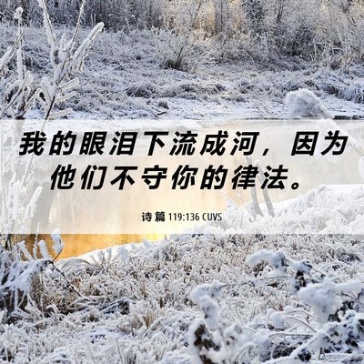 Picture 06 - 诗 篇 119:136 CUVS - 我 的 眼 泪 下 流 成 河 ， 因 为 他 - Bible Verse Picture