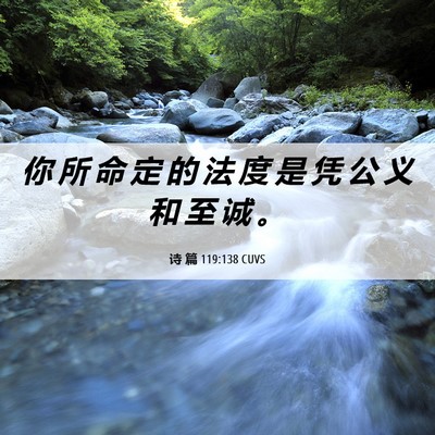Picture 06 - 诗 篇 119:138 CUVS - 你 所 命 定 的 法 度 是 凭 公 义 和 - Bible Verse Picture