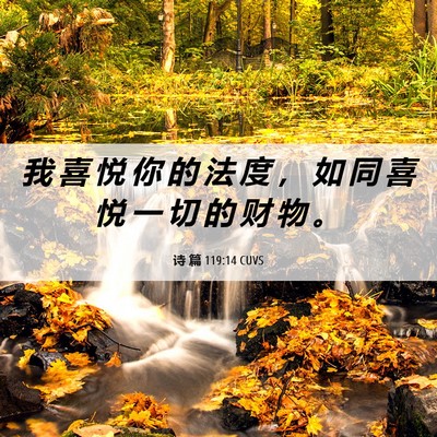 Picture 06 - 诗 篇 119:14 CUVS - 我 喜 悦 你 的 法 度 ， 如 同 喜 悦 - Bible Verse Picture