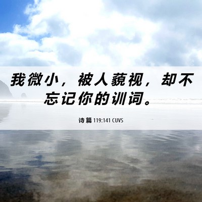 Picture 06 - 诗 篇 119:141 CUVS - 我 微 小 ， 被 人 藐 视 ， 却 不 忘 - Bible Verse Picture