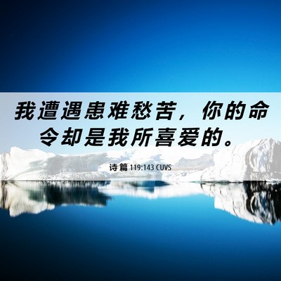 Picture 06 - 诗 篇 119:143 CUVS - 我 遭 遇 患 难 愁 苦 ， 你 的 命 令 - Bible Verse Picture