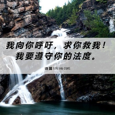 Picture 06 - 诗 篇 119:146 CUVS - 我 向 你 呼 吁 ， 求 你 救 我 ！ 我 - Bible Verse Picture