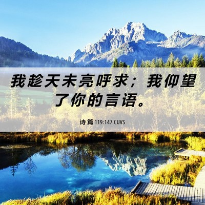 Picture 06 - 诗 篇 119:147 CUVS - 我 趁 天 未 亮 呼 求 ； 我 仰 望 了 - Bible Verse Picture