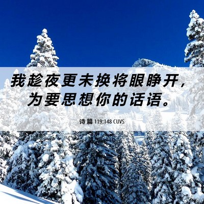 Picture 06 - 诗 篇 119:148 CUVS - 我 趁 夜 更 未 换 将 眼 睁 开 ， 为 - Bible Verse Picture