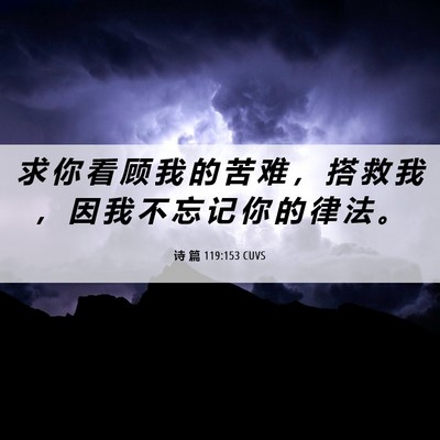 Picture 06 - 诗 篇 119:153 CUVS - 求 你 看 顾 我 的 苦 难 ， 搭 救 我 - Bible Verse Picture