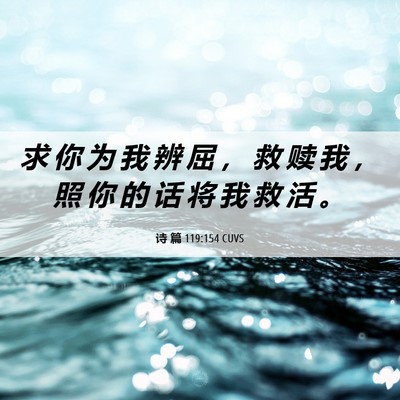 Picture 06 - 诗 篇 119:154 CUVS - 求 你 为 我 辨 屈 ， 救 赎 我 ， 照 - Bible Verse Picture