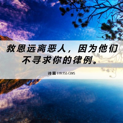 Picture 06 - 诗 篇 119:155 CUVS - 救 恩 远 离 恶 人 ， 因 为 他 们 不 - Bible Verse Picture