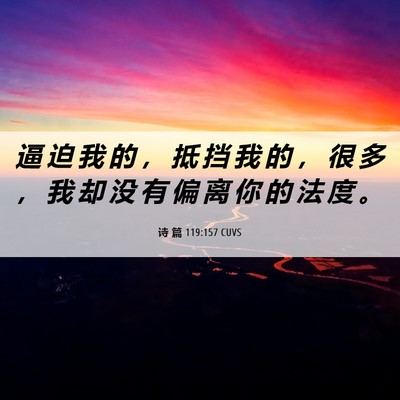 Picture 06 - 诗 篇 119:157 CUVS - 逼 迫 我 的 ， 抵 挡 我 的 ， 很 多 - Bible Verse Picture