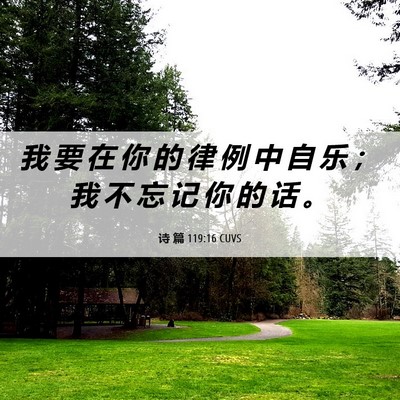 Picture 06 - 诗 篇 119:16 CUVS - 我 要 在 你 的 律 例 中 自 乐 ； 我 - Bible Verse Picture