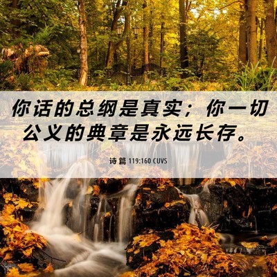 Picture 06 - 诗 篇 119:160 CUVS - 你 话 的 总 纲 是 真 实 ； 你 一 切 - Bible Verse Picture