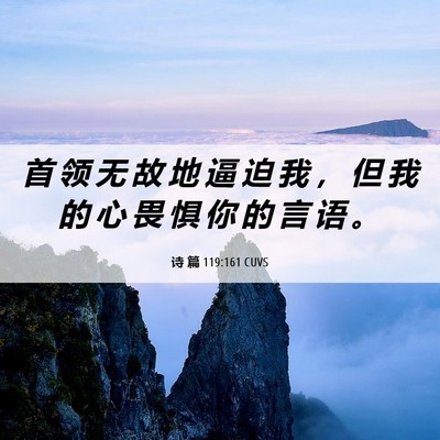 Picture 06 - 诗 篇 119:161 CUVS - 首 领 无 故 地 逼 迫 我 ， 但 我 的 - Bible Verse Picture