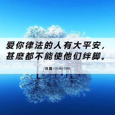 Picture 06 - 诗 篇 119:165 CUVS - 爱 你 律 法 的 人 有 大 平 安 ， 甚 - Bible Verse Picture