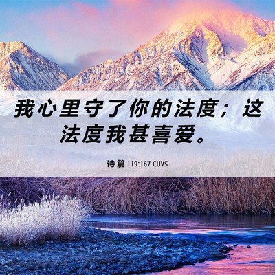 Picture 06 - 诗 篇 119:167 CUVS - 我 心 里 守 了 你 的 法 度 ； 这 法 - Bible Verse Picture