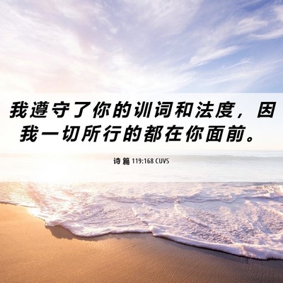Picture 06 - 诗 篇 119:168 CUVS - 我 遵 守 了 你 的 训 词 和 法 度 ， - Bible Verse Picture
