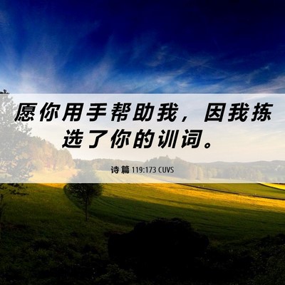 Picture 06 - 诗 篇 119:173 CUVS - 愿 你 用 手 帮 助 我 ， 因 我 拣 选 - Bible Verse Picture