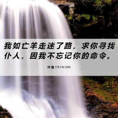 Picture 06 - 诗 篇 119:176 CUVS - 我 如 亡 羊 走 迷 了 路 ， 求 你 寻 - Bible Verse Picture