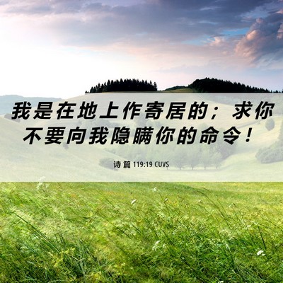 Picture 06 - 诗 篇 119:19 CUVS - 我 是 在 地 上 作 寄 居 的 ； 求 你 - Bible Verse Picture