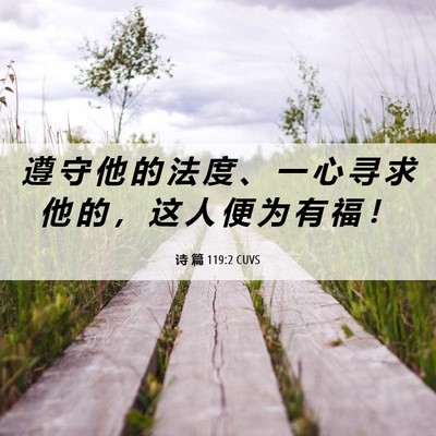 Picture 06 - 诗 篇 119:2 CUVS - 遵 守 他 的 法 度 、 一 心 寻 求 他 - Bible Verse Picture