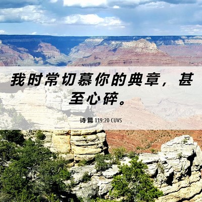 Picture 06 - 诗 篇 119:20 CUVS - 我 时 常 切 慕 你 的 典 章 ， 甚 至 - Bible Verse Picture