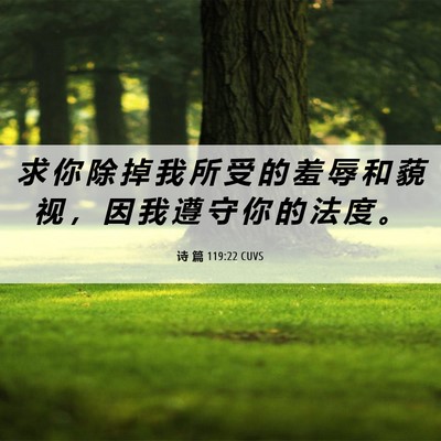 Picture 06 - 诗 篇 119:22 CUVS - 求 你 除 掉 我 所 受 的 羞 辱 和 藐 - Bible Verse Picture