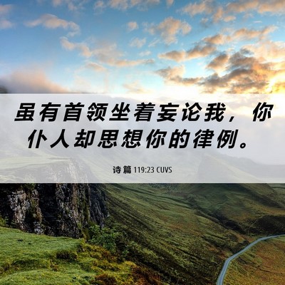Picture 06 - 诗 篇 119:23 CUVS - 虽 有 首 领 坐 着 妄 论 我 ， 你 仆 - Bible Verse Picture