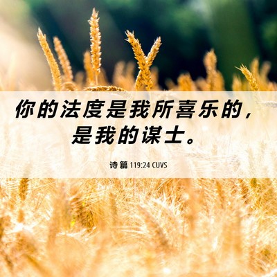 Picture 06 - 诗 篇 119:24 CUVS - 你 的 法 度 是 我 所 喜 乐 的 ， 是 - Bible Verse Picture