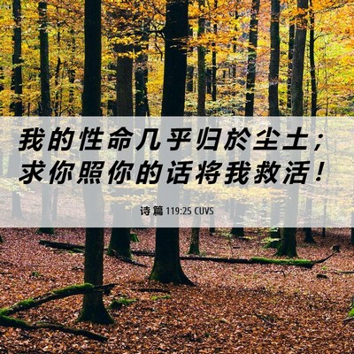 Picture 06 - 诗 篇 119:25 CUVS - 我 的 性 命 几 乎 归 於 尘 土 ； 求 - Bible Verse Picture