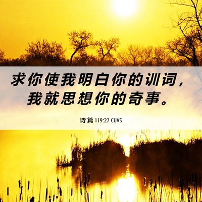 Picture 06 - 诗 篇 119:27 CUVS - 求 你 使 我 明 白 你 的 训 词 ， 我 - Bible Verse Picture