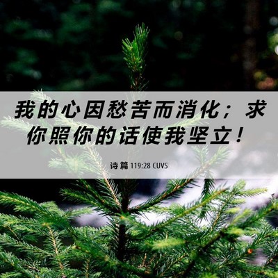 Picture 06 - 诗 篇 119:28 CUVS - 我 的 心 因 愁 苦 而 消 化 ； 求 你 - Bible Verse Picture