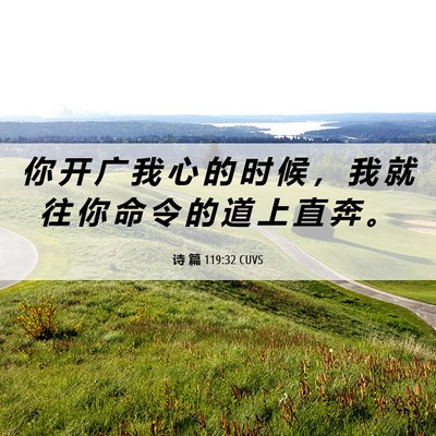 Picture 06 - 诗 篇 119:32 CUVS - 你 开 广 我 心 的 时 候 ， 我 就 往 - Bible Verse Picture