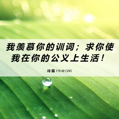 Picture 06 - 诗 篇 119:40 CUVS - 我 羡 慕 你 的 训 词 ； 求 你 使 我 - Bible Verse Picture