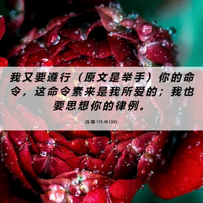 Picture 06 - 诗 篇 119:48 CUVS - 我 又 要 遵 行 （ 原 文 是 举 手 ） - Bible Verse Picture