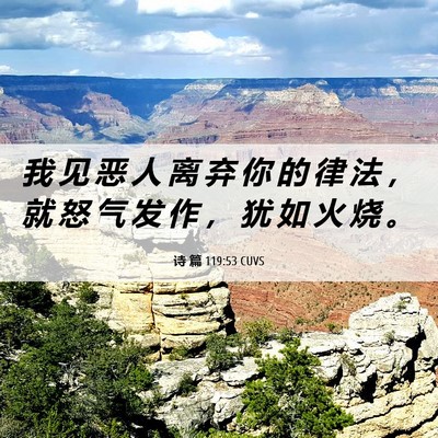 Picture 06 - 诗 篇 119:53 CUVS - 我 见 恶 人 离 弃 你 的 律 法 ， 就 - Bible Verse Picture