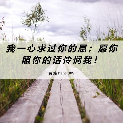 Picture 06 - 诗 篇 119:58 CUVS - 我 一 心 求 过 你 的 恩 ； 愿 你 照 - Bible Verse Picture