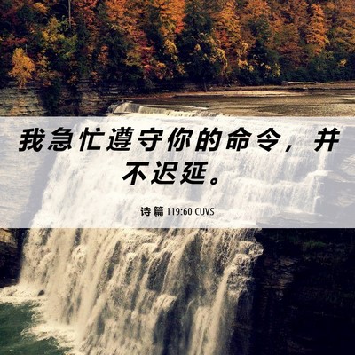 Picture 06 - 诗 篇 119:60 CUVS - 我 急 忙 遵 守 你 的 命 令 ， 并 不 - Bible Verse Picture