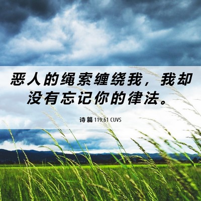 Picture 06 - 诗 篇 119:61 CUVS - 恶 人 的 绳 索 缠 绕 我 ， 我 却 没 - Bible Verse Picture