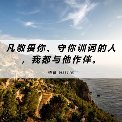 Picture 06 - 诗 篇 119:63 CUVS - 凡 敬 畏 你 、 守 你 训 词 的 人 ， - Bible Verse Picture