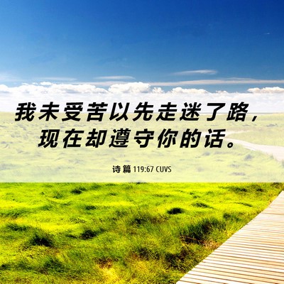 Picture 06 - 诗 篇 119:67 CUVS - 我 未 受 苦 以 先 走 迷 了 路 ， 现 - Bible Verse Picture