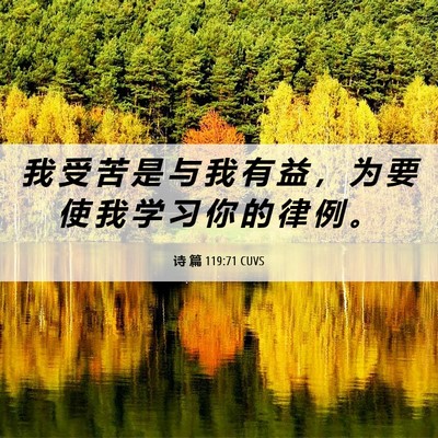 Picture 06 - 诗 篇 119:71 CUVS - 我 受 苦 是 与 我 有 益 ， 为 要 使 - Bible Verse Picture