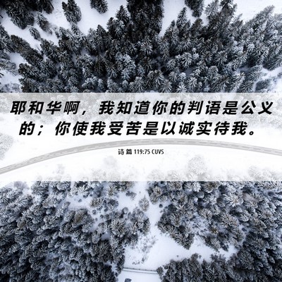 Picture 06 - 诗 篇 119:75 CUVS - 耶 和 华 啊 ， 我 知 道 你 的 判 语 - Bible Verse Picture