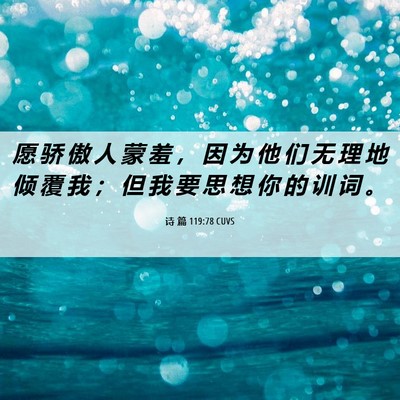 Picture 06 - 诗 篇 119:78 CUVS - 愿 骄 傲 人 蒙 羞 ， 因 为 他 们 无 - Bible Verse Picture