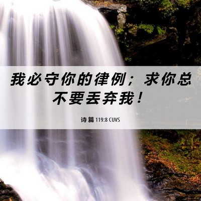 Picture 06 - 诗 篇 119:8 CUVS - 我 必 守 你 的 律 例 ； 求 你 总 不 - Bible Verse Picture