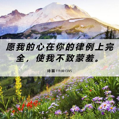 Picture 06 - 诗 篇 119:80 CUVS - 愿 我 的 心 在 你 的 律 例 上 完 全 - Bible Verse Picture