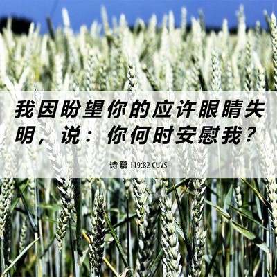 Picture 06 - 诗 篇 119:82 CUVS - 我 因 盼 望 你 的 应 许 眼 睛 失 明 - Bible Verse Picture