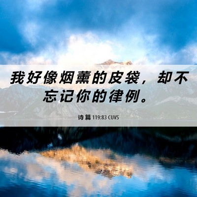 Picture 06 - 诗 篇 119:83 CUVS - 我 好 像 烟 薰 的 皮 袋 ， 却 不 忘 - Bible Verse Picture